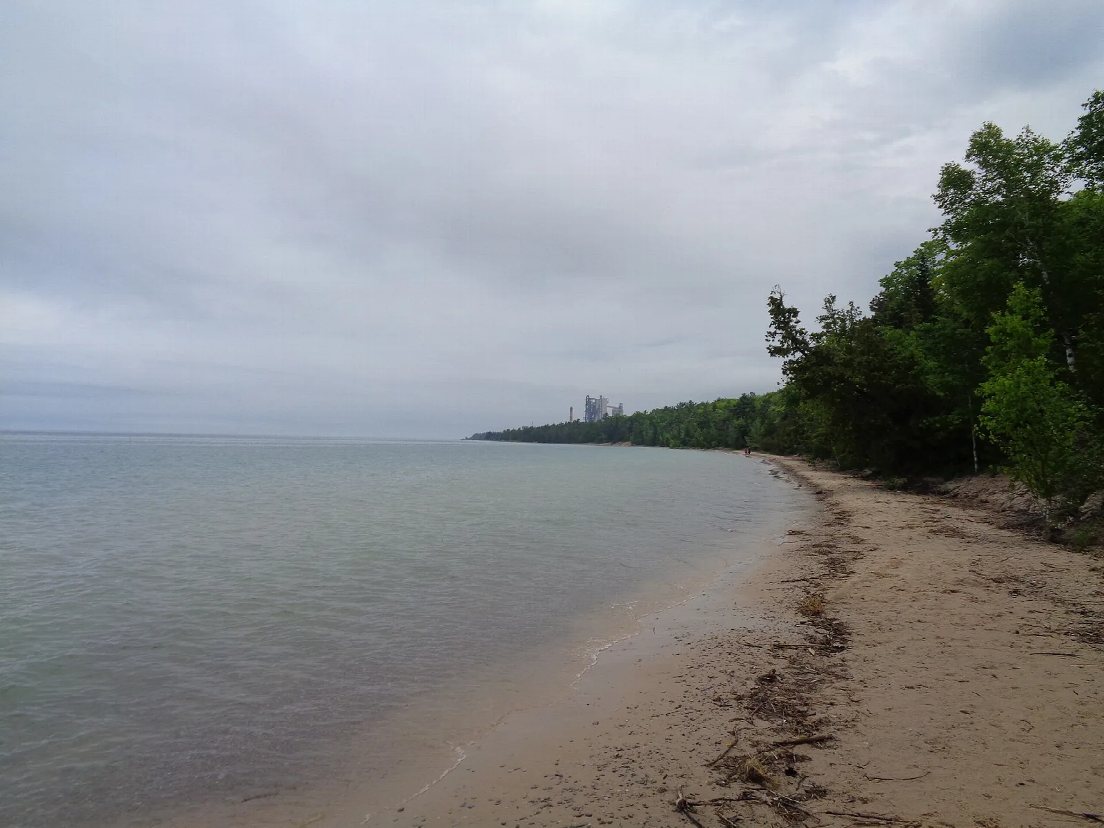 Curving sand beach along a calm lake edged by trees