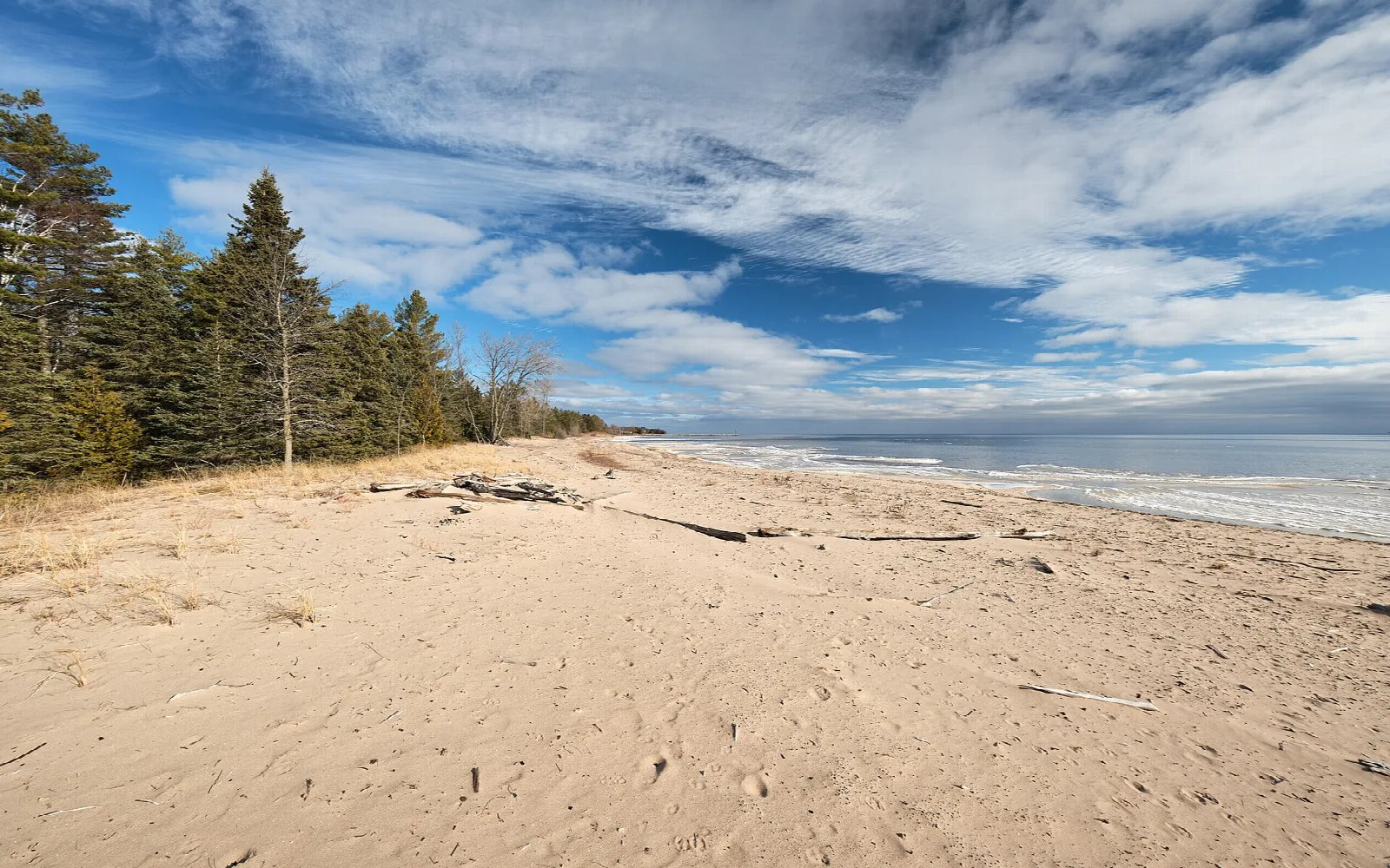 Wide sandy beach with evergreens and lake under streaked clouds