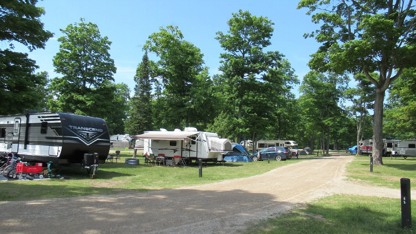 Camper trailers parked among tall trees along a gravel loop