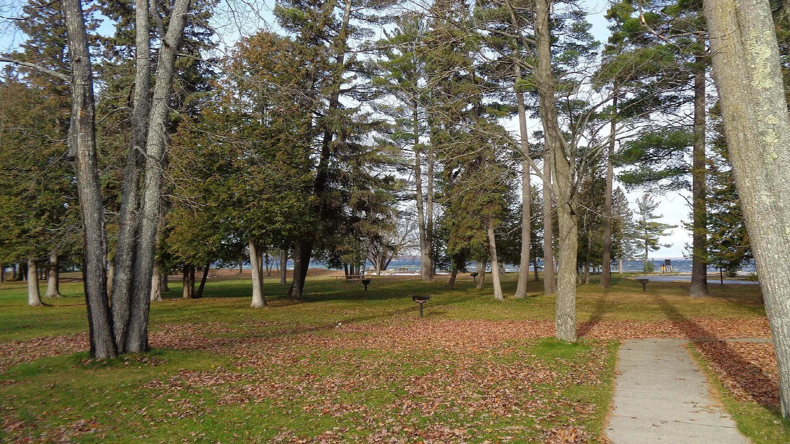 Grassy lawn with tall pines and a paved path near the lake