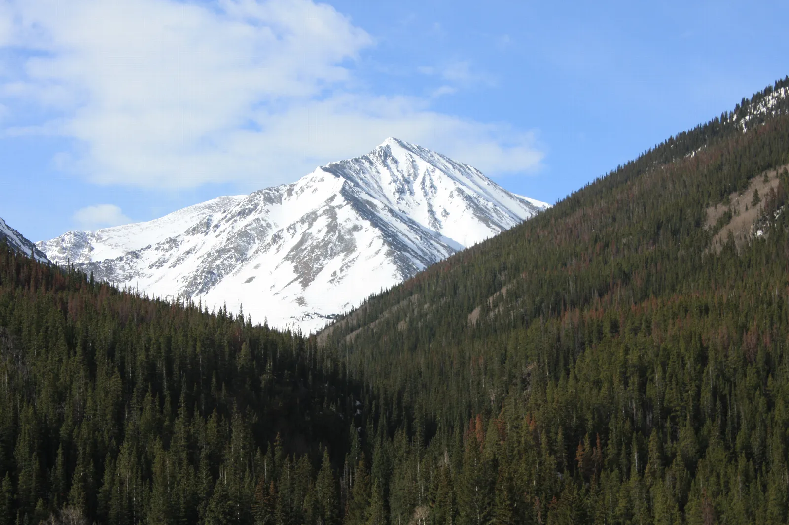 Torreys Peak: The classic 14er double partner — and Kelso Ridge if you want a real day