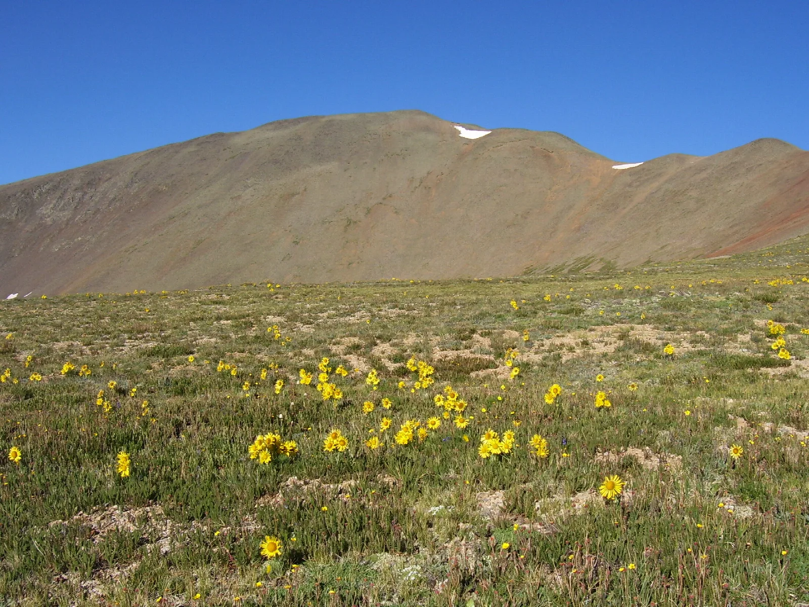 San Luis Peak: The most remote 14er in Colorado