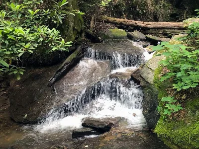 Gully Creek Trail Loop