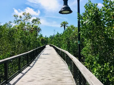Gordon River Greenway