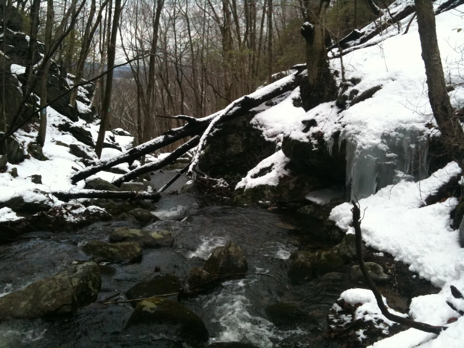 Tunxis Trail