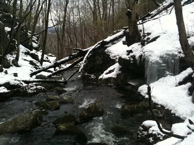 Tunxis Trail