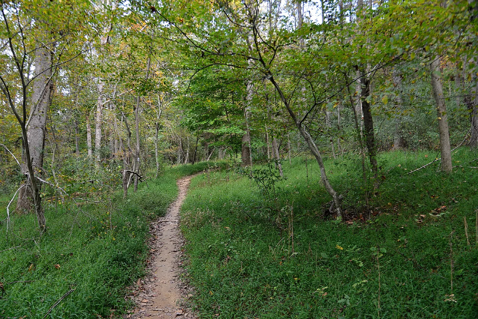 Muddy Branch Greenway Trail