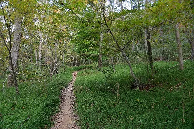 Muddy Branch Greenway Trail
