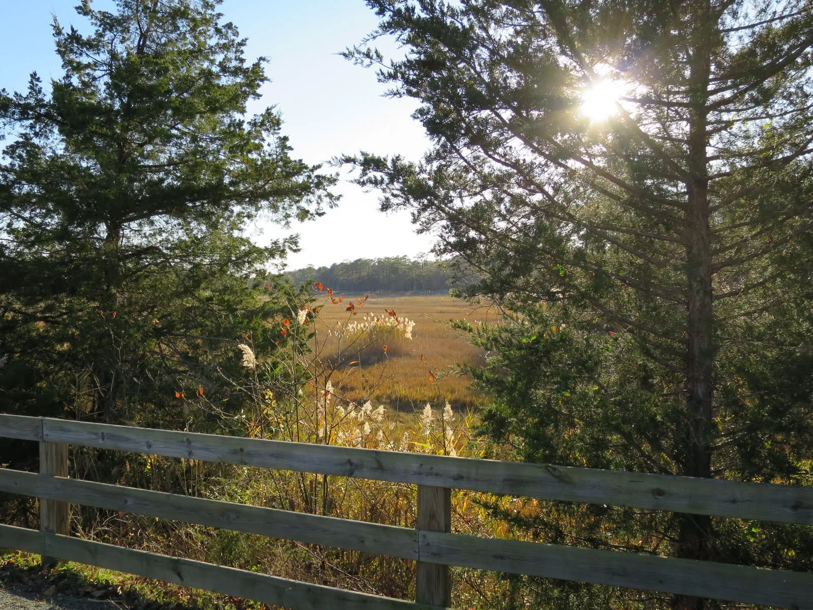 Junction and Breakwater Trail