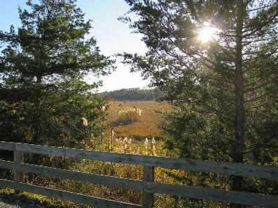 Junction and Breakwater Trail