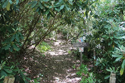Jacks Knob Trail