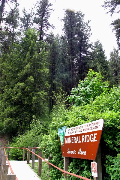 Mineral Ridge National Recreation Trail