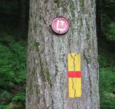 Loyalsock Trail