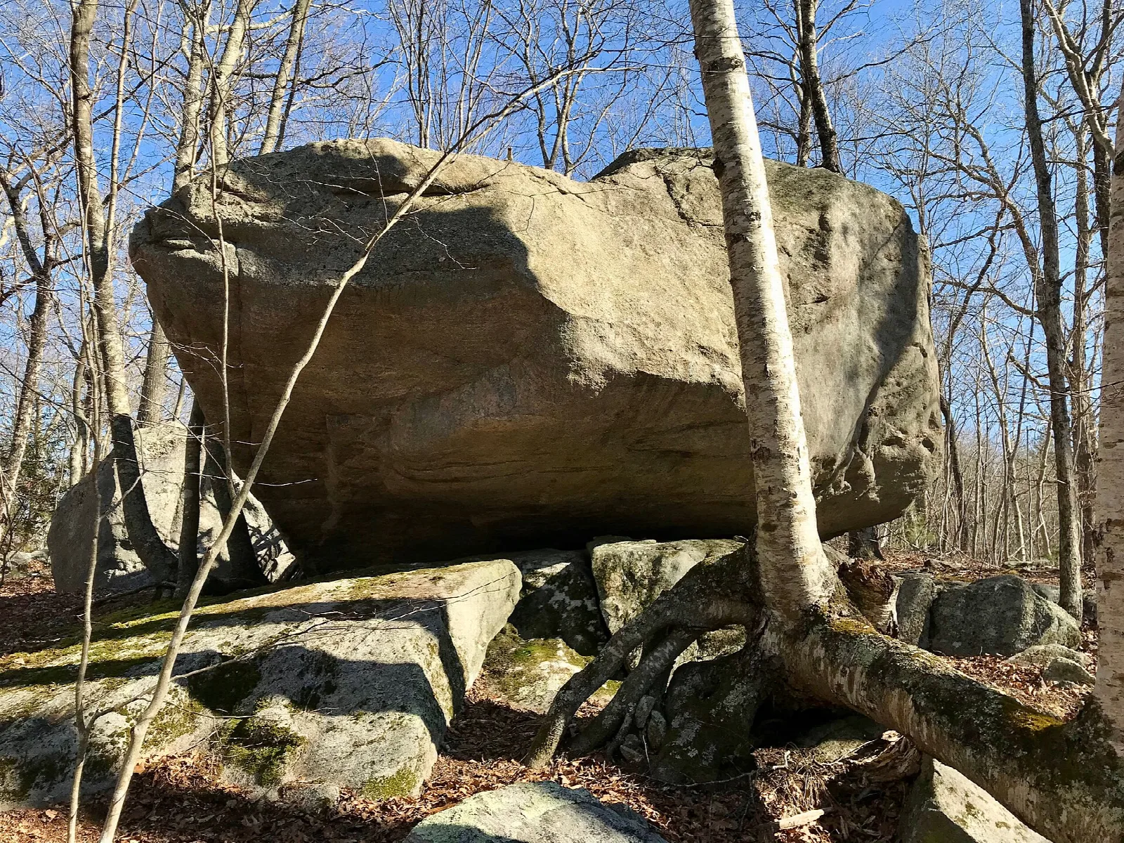 Nayantaquit Trail