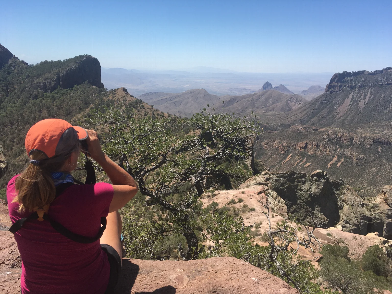 Enjoying The View