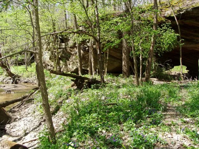 Portland Arch Nature Preserve