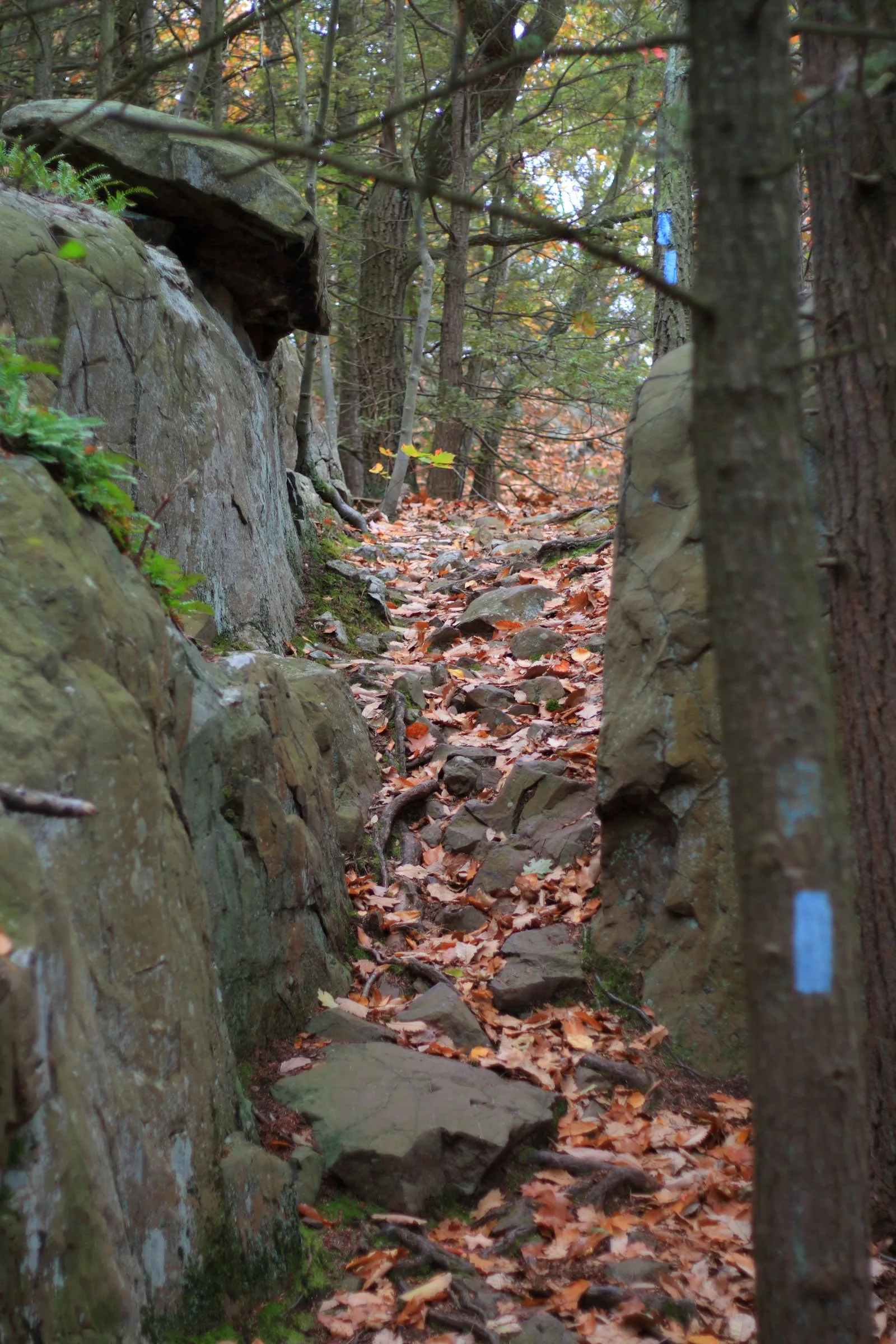 Metacomet Trail