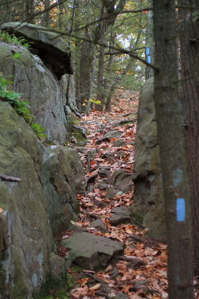 Metacomet Trail