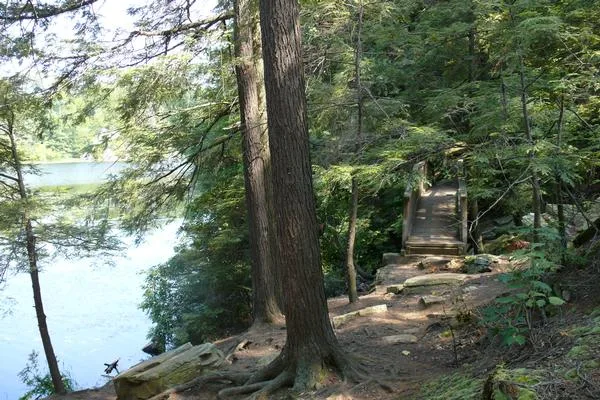 Pelton Pond
