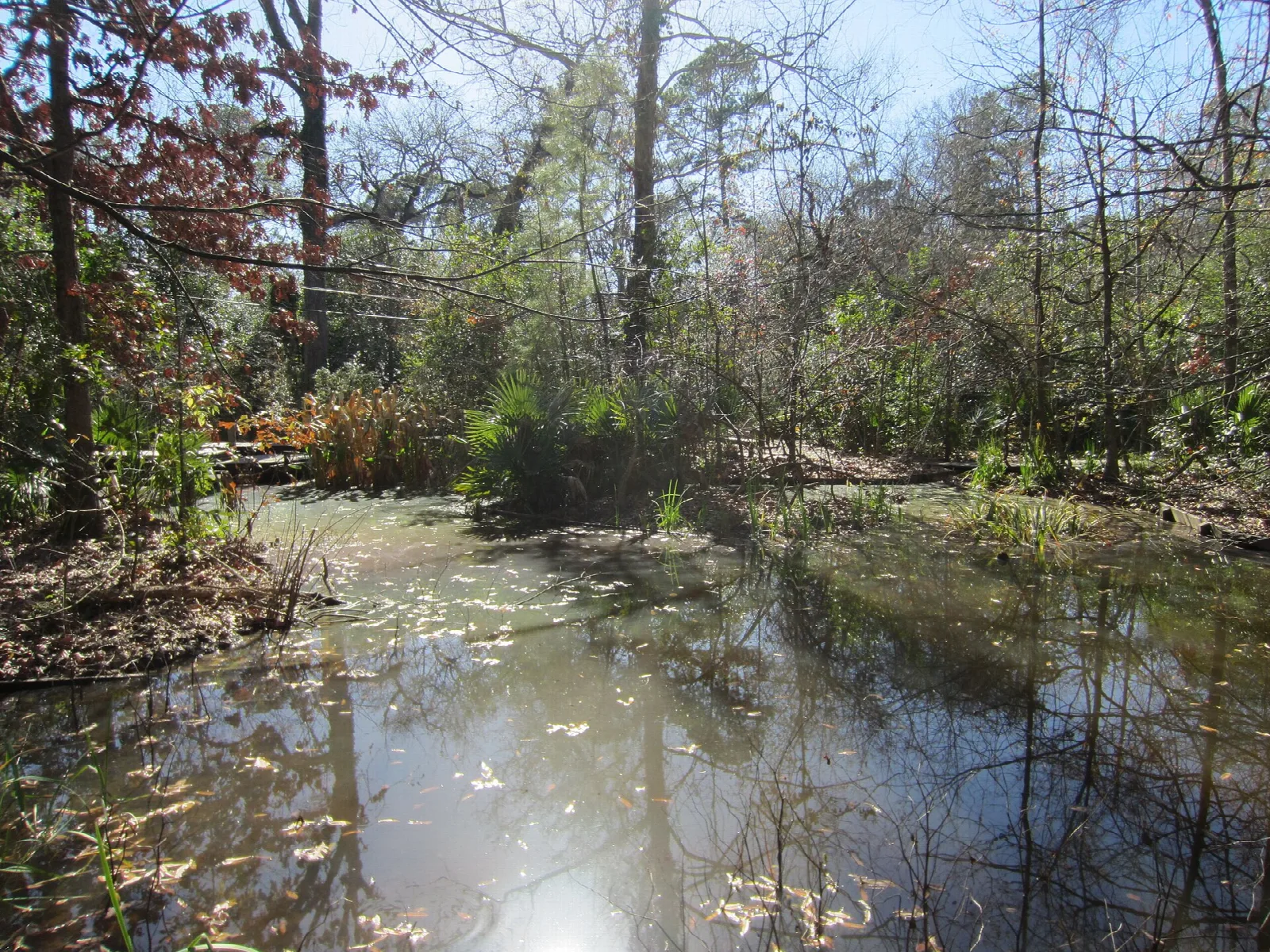 Edith L. Moore Nature Sanctuary