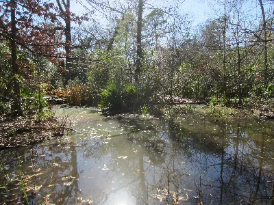 Edith L. Moore Nature Sanctuary