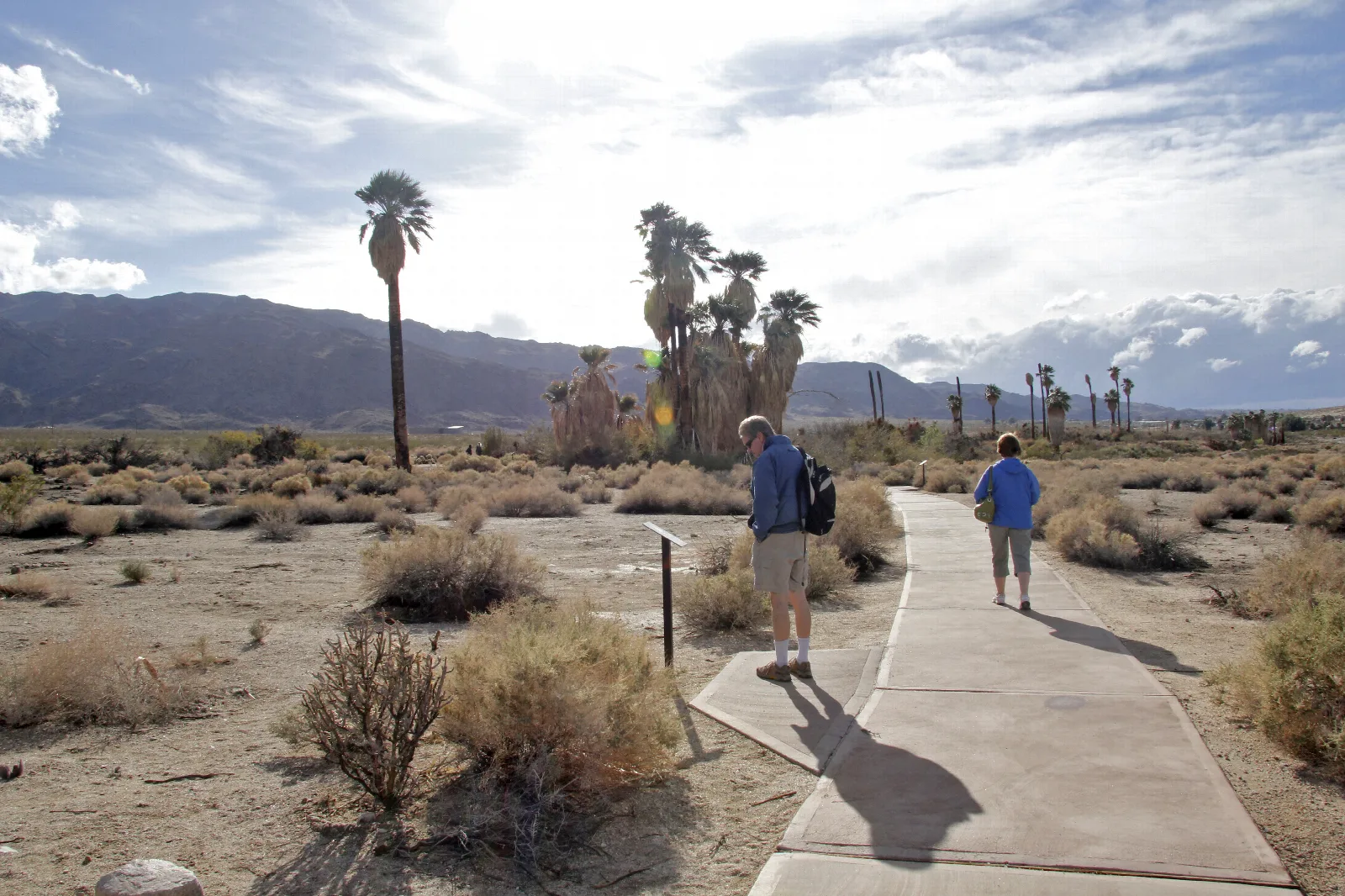 Two people on a paved trail heading towards a clump of fan palms with mountains in the distance.