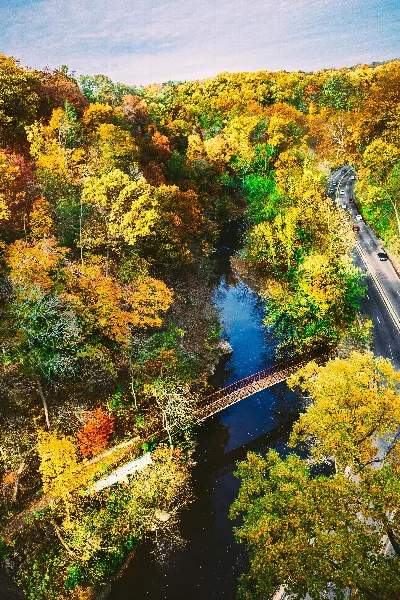 Forbidden Drive