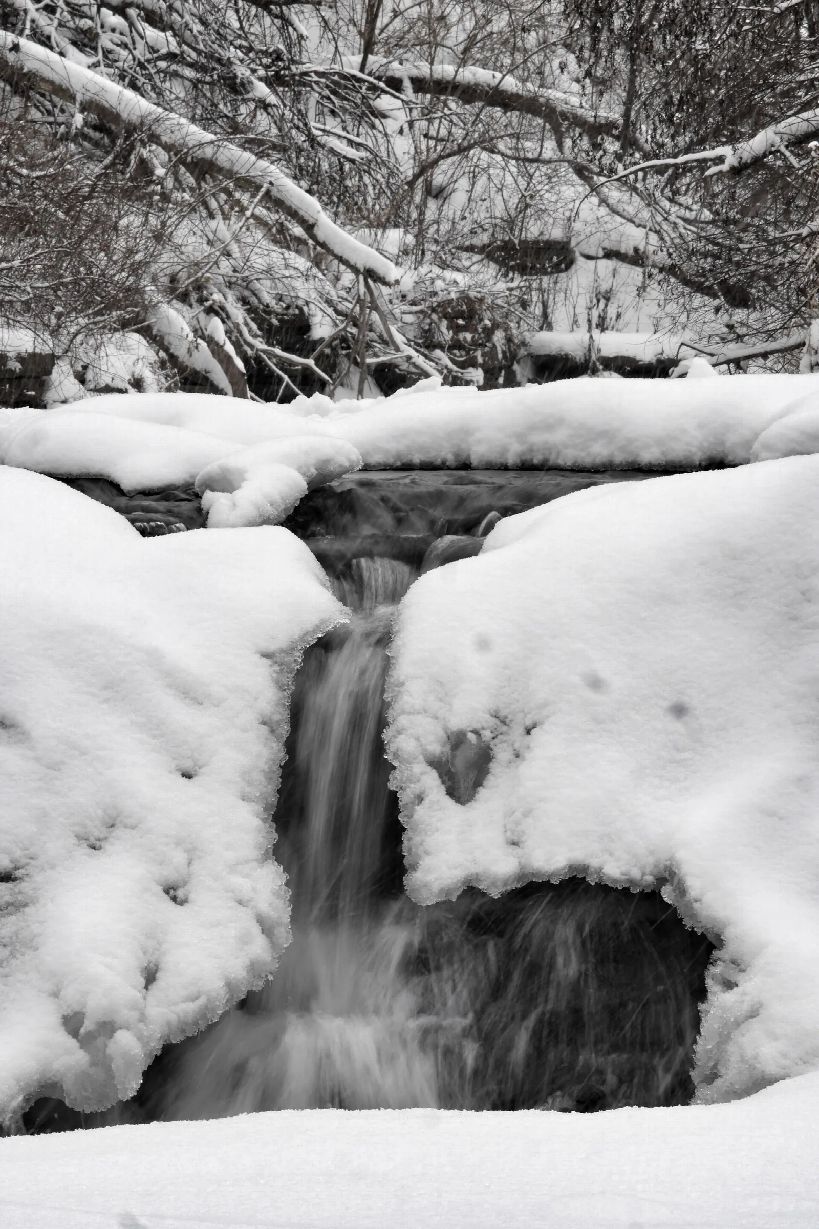 Waterfall Glen Trail