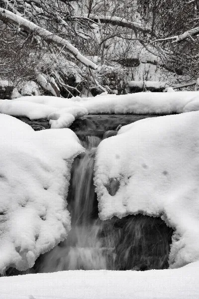 Waterfall Glen Trail