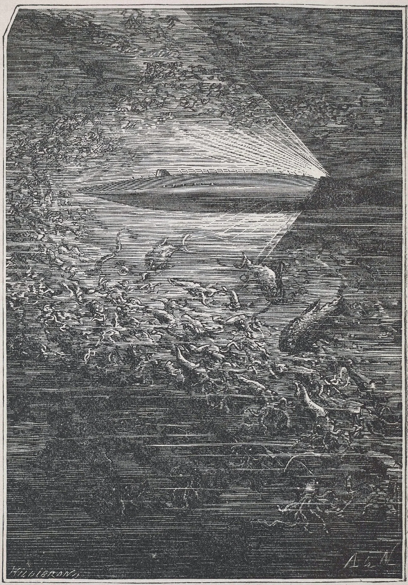 The Nautilus