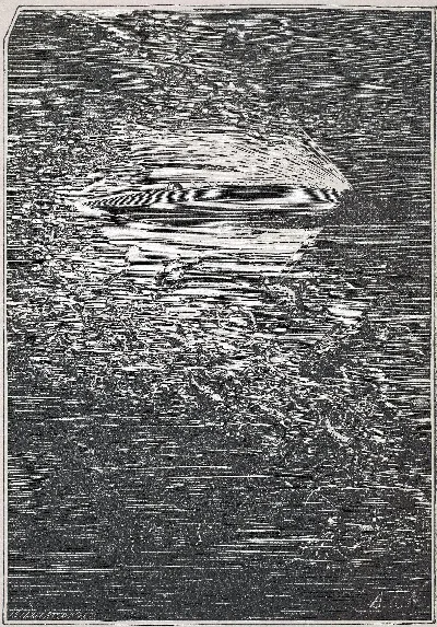 The Nautilus