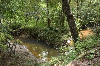 Jack O Lantern Branch Trail