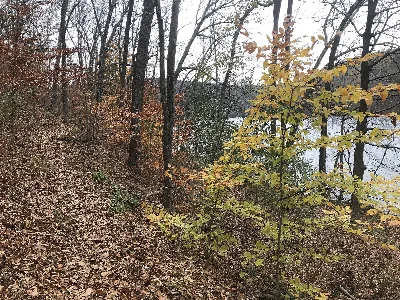 Pomperaug Trail