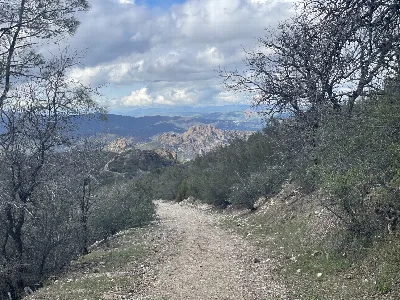 Chalone Peak Trail