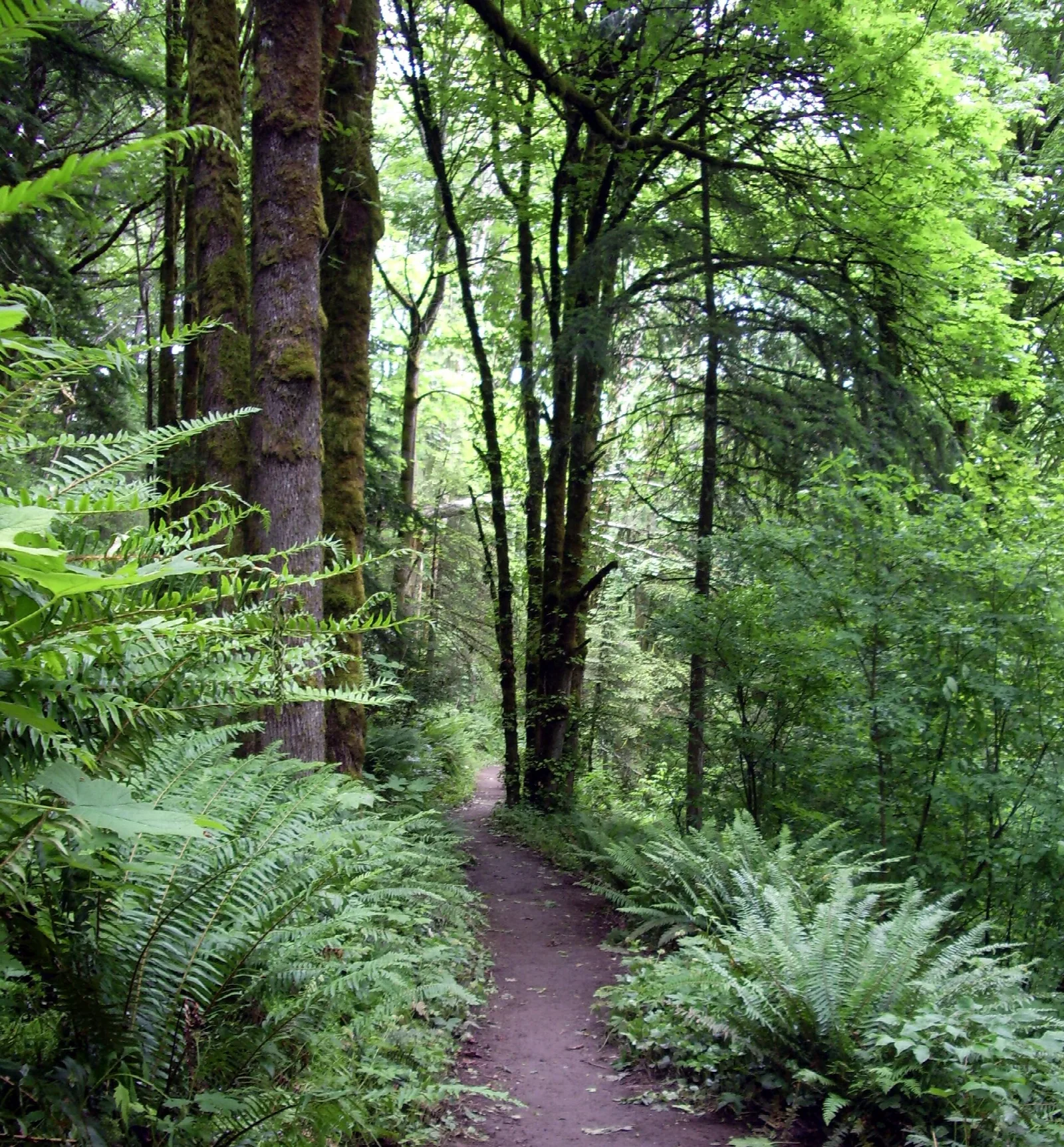 Wildwood Trail
