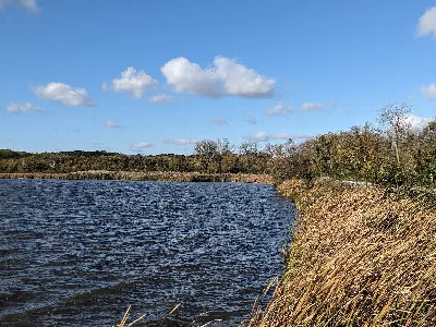 Saganashkee Slough