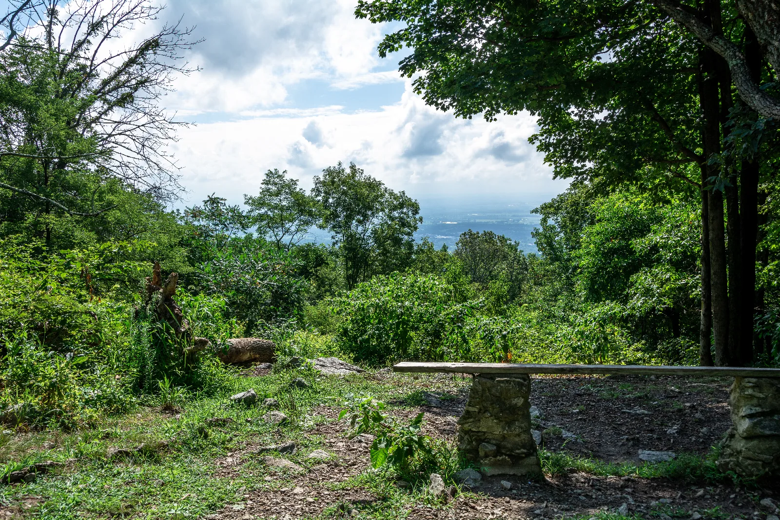 A wooden bench overlooking a view from a forested mountaintop.
