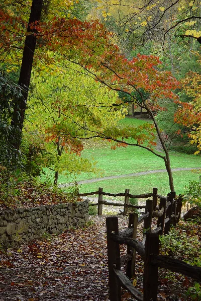 Asheville Botanical Garden