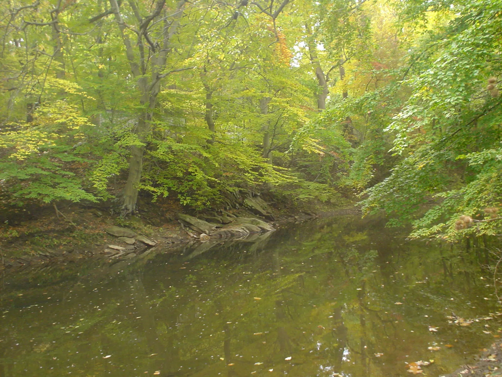 Chester Creek