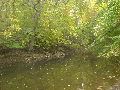 Chester Creek