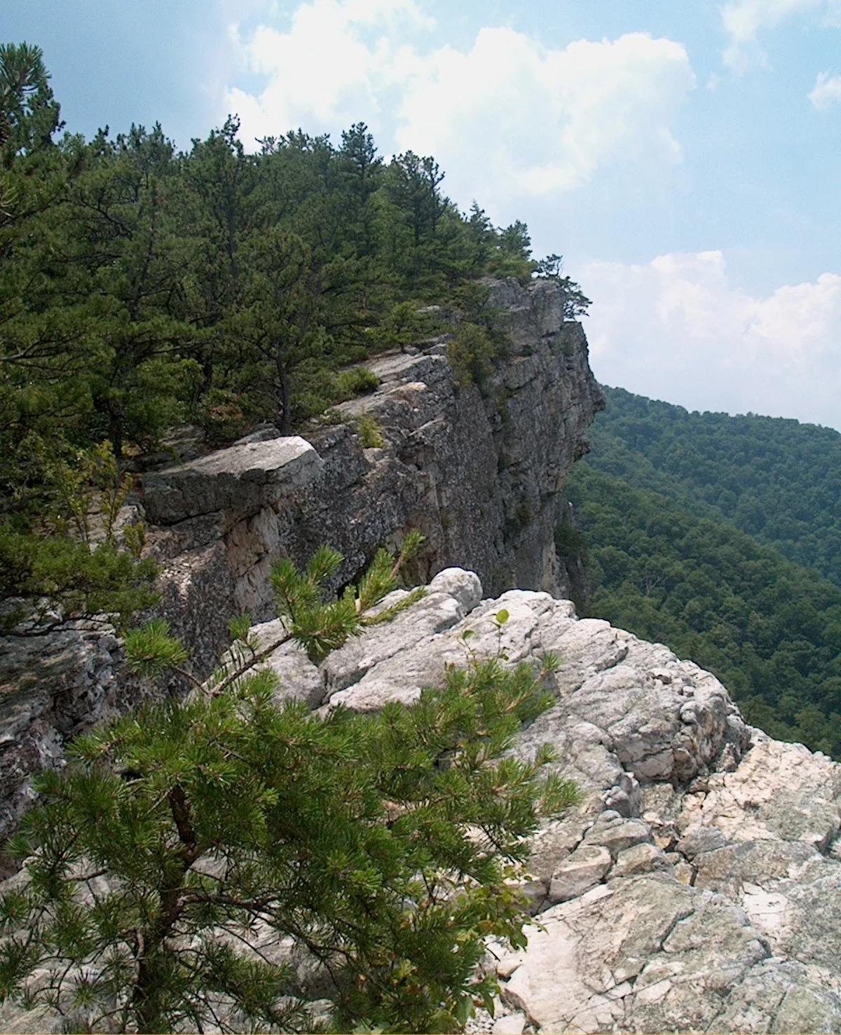 North Fork Mountain Trail