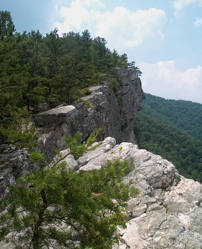 North Fork Mountain Trail