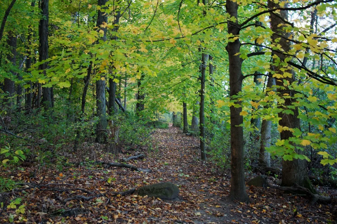 UW Arboretum