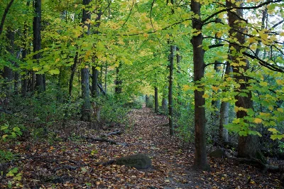 UW Arboretum