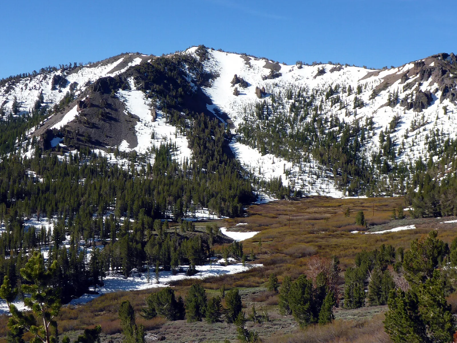 Tamarack Peak