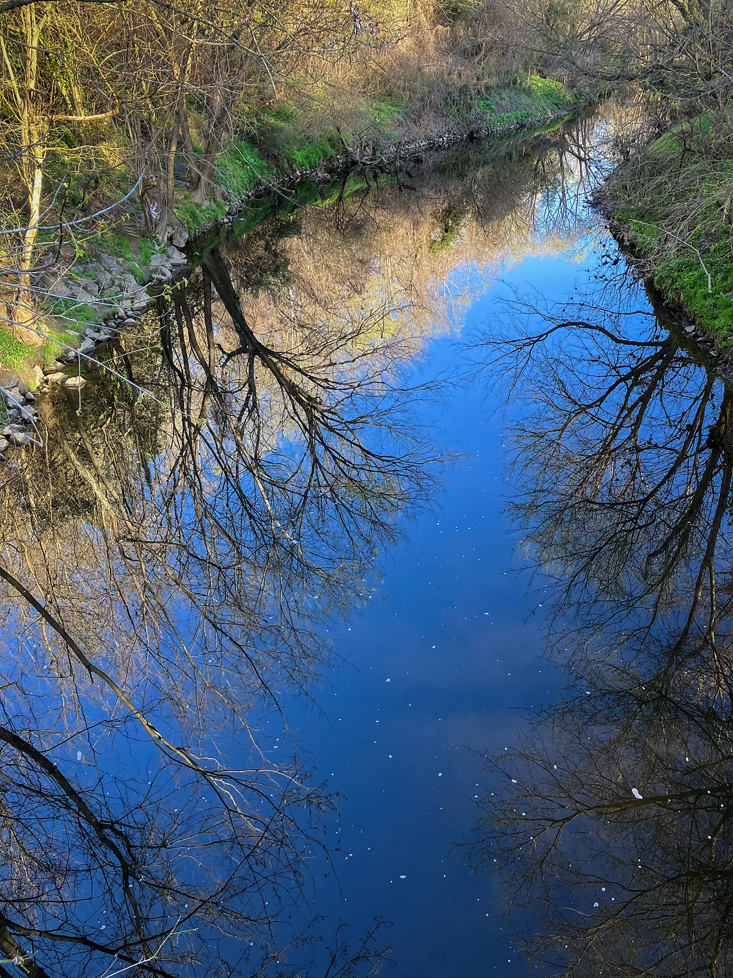 Little Sugar Creek Greenway