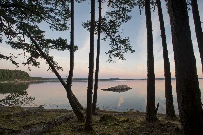 Westcott Bay Trail