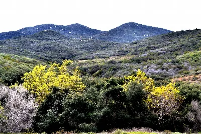 San Diego National Wildlife Refuge