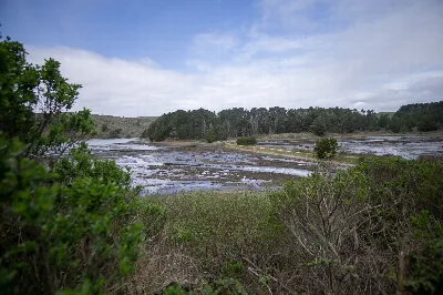 Estero Trail