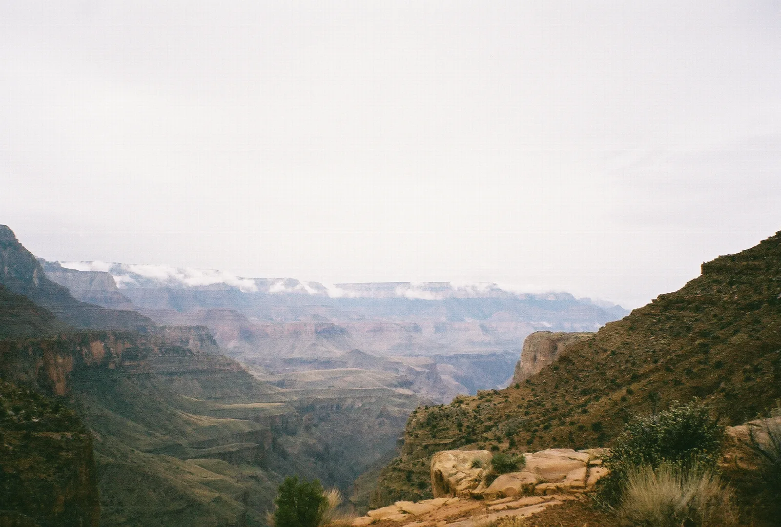 Tanner Trail